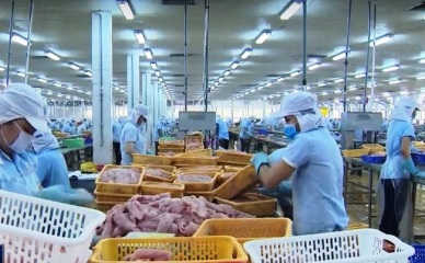 The UK market stands out in Vietnam pangasius exports in H1