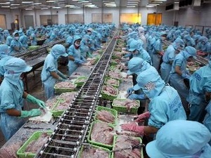 From 12th September 2014: starting registration for pangasius export contracts
