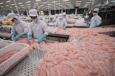 Vietnam’s pangasius exports to the EU rebounded