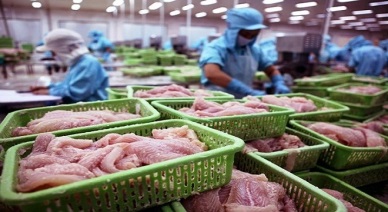 Mexico increased pangasius imports   in 2014