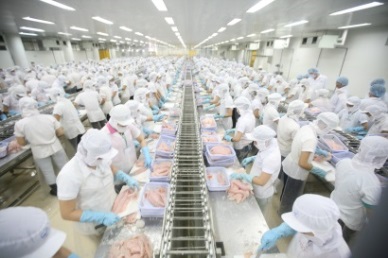 ASEAN - the 4th largest importer of Vietnam pangasius