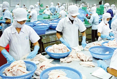 Mekong pangasius processors struggle to fill export orders with 1Q production decline
