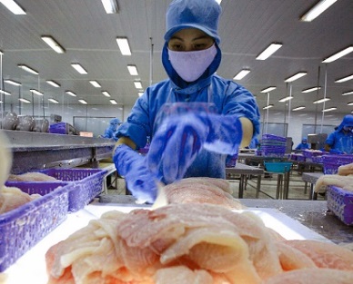 Vietnam pangasius exports to US leap up