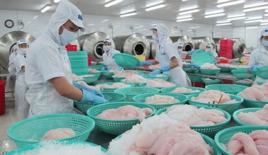 Pangasius exports flourished again