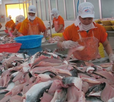 Vietnam’s seafood exports to Australia up 20.7%