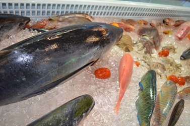 Exports of marine finfish grew up