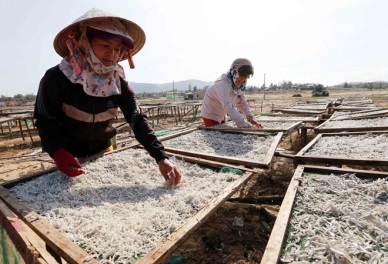 Binh Dinh targets 4.5 bln USD in exports in five years