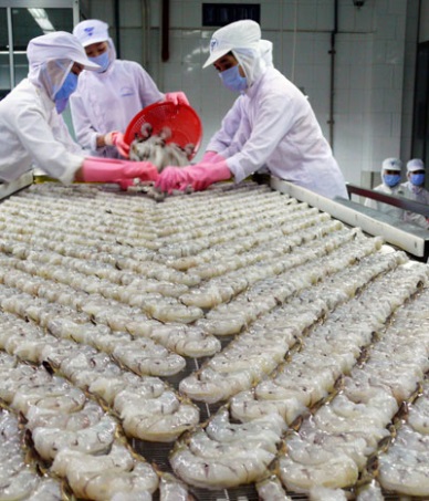 Ca Mau listed in top 5 export surplus provinces thanks to shrimp