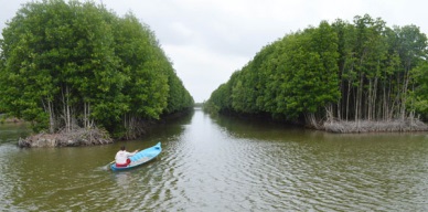 Ca Mau: 12,401 ha of shrimp farming granted international eco-certification
