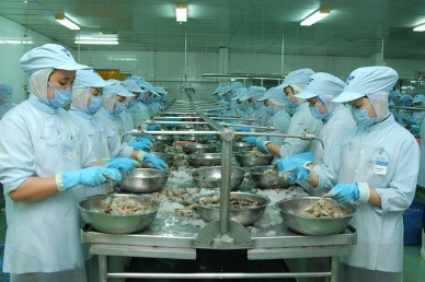 Numbers of seafood exporters in 2012 dropped 30%