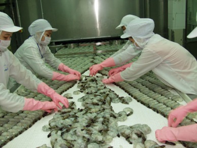 Camimex: Net sales hit VND220.3 billion in QIII/2016