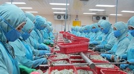 Can Tho achieves US$616 trade surplus in 9 months