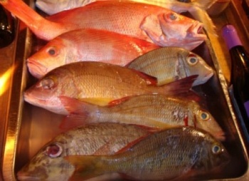 Canada sees 10% rise in value of seafood exports on eve of Trade deal with EU