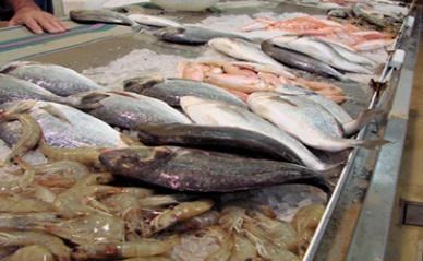 Canada: Seafood exports reach biggest yearly increase in three years