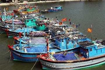 Hygiene inspectors spot fishing boats, docks
