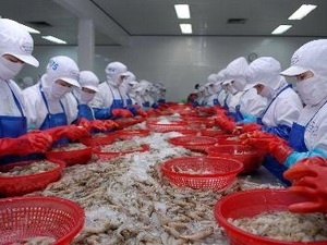Can Tho diversified seafood products for exporting