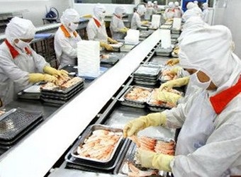 Can Tho: Fish farming shrunk in Jan-Apr