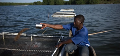 FAO: Aquaculture can boost Central America income