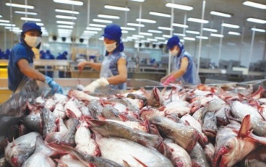 Vietnam’s pangasius exports to Egypt increased by 34%