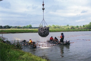 Number of Catfish Inspectors Drives a Debate on Spending