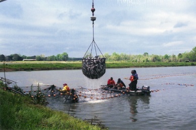 Catfish value of sales up 1 percent from 2012