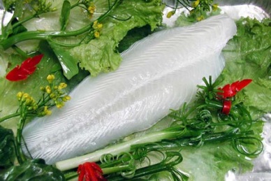TG Corp: pangasius exports up 30%