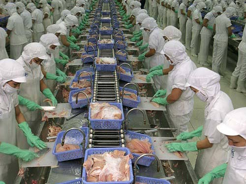 Pangasius exports to the U.S. rose but to EU declined