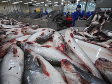 Tra fish exports to U.S. grow strongly