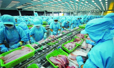 Report on Vietnam seafood exports in QI/2016