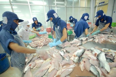 QI/2016: Vietnam pangasius exports increased by 2.4%