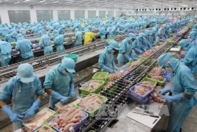 Vietnam yields over 2.6 million tonnes of aquatic products in nine months