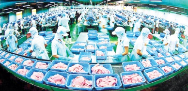 Pangasius  exports to reach US$ 2.3 billion in 2016