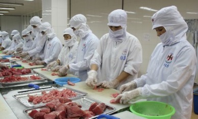 Tuna exports to Tunisia increased dramatically