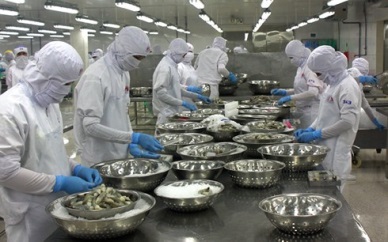 Jan-Apr 2018: Up 14% in Vietnam’s shrimp sales 