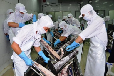 Vietnam boosted tuna exports to Asia and the Middle East