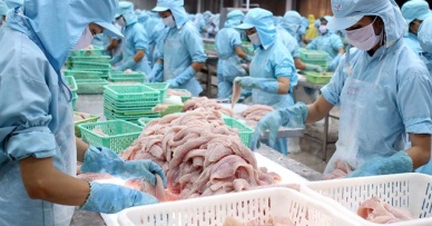 Vietnam pangasius exports up 5.6% in Jan-Feb 2016  