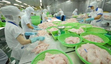 Singapore and Philippines: two emerging markets of VN pangasius