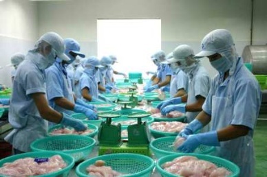 Seafood exports down 8 percent in Q1/2013