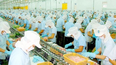 Russia is still an unstable market for Vietnam pangasius