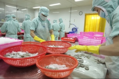 2016: Vietnam seafood export turnover may exceed $7 billion