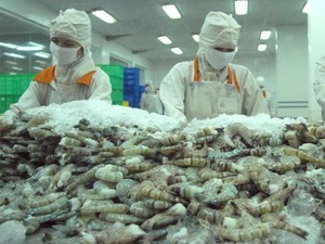 Boosting shrimp production in H2/2015