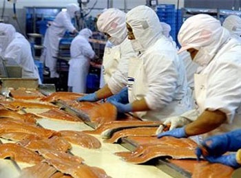Seafood export value fall despite volume growth