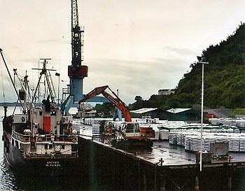 Chile: Seafood landings rose by 24 per cent in the first five months