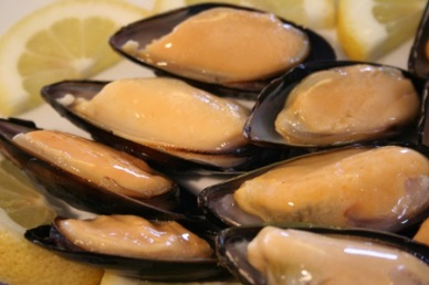 Mussel exports increase in volume and value