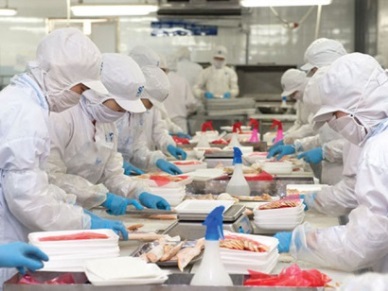 CIRCULAR 36/2018/TT-BNNPTNT: AMENDMENTS TO CIRCULAR 26/2016/TT-BNNPTNT BY MARD ON QUARANTINE OF AQUATIC ANIMALS AND PRODUCTS THEREOF