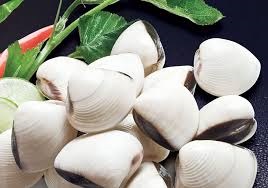 QI/2014, drop in Vietnamese exports of bivalve mollusk 