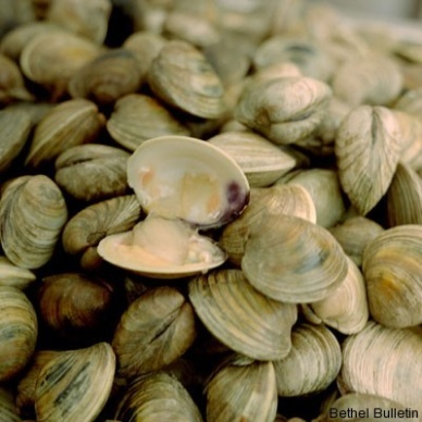Canada issues recall on US clams