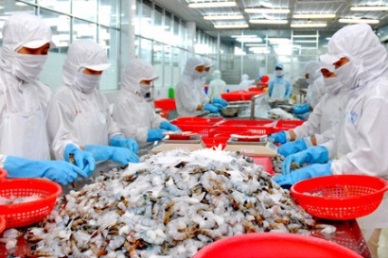 Good growth in VN shrimp exports at the beginning of the year