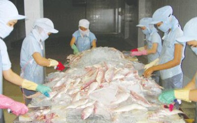 Coimex: Export turnover reaches US$ 22 million