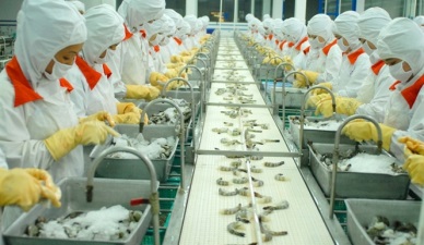 Up 7.9% in Vietnam shrimp exports to US